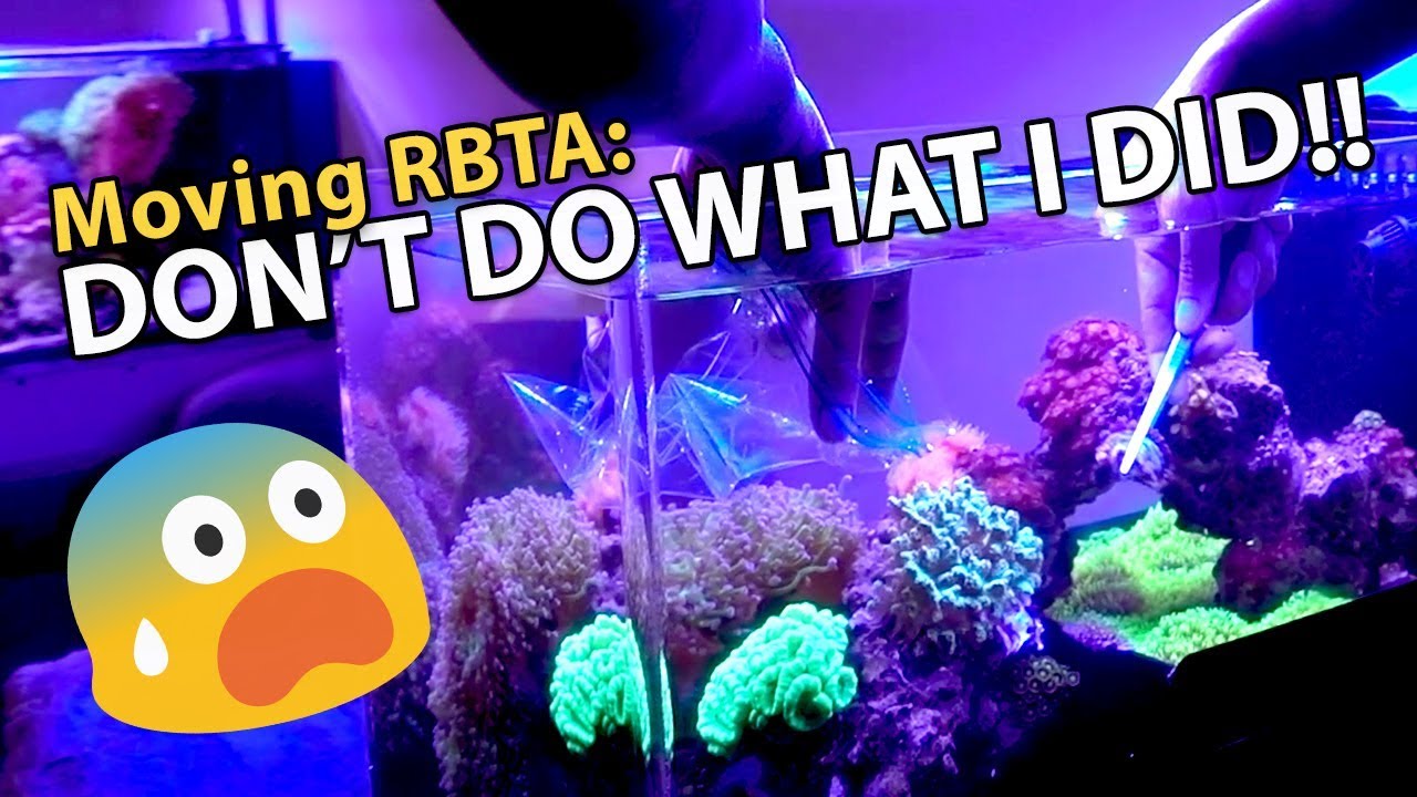 YIKES. Don't Do What I did!!! **DISASTER** - YouTube