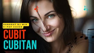 Cubitcubitan  Elvy Sukaesih  Dj Dangdut Remix Terbaru  Cover Indo