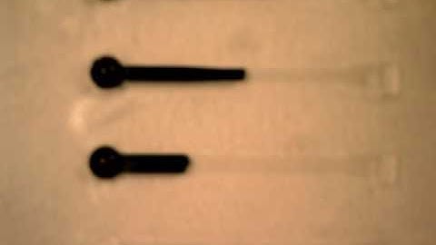 4 Channel Filling by Capillary Action Only