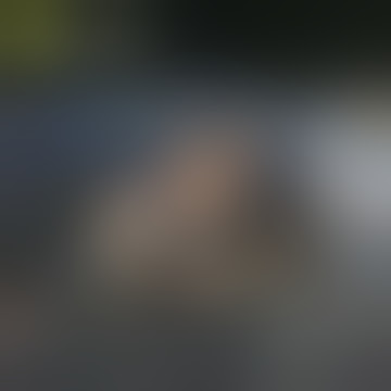 Vidio Cocofun Mr. Bean Fuck You Ngakak😂😂