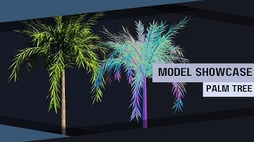 Palm Tree | Model Showcase