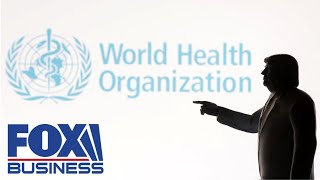 These International Organizations Are Ripe With Fraud, Says Republican Congressman