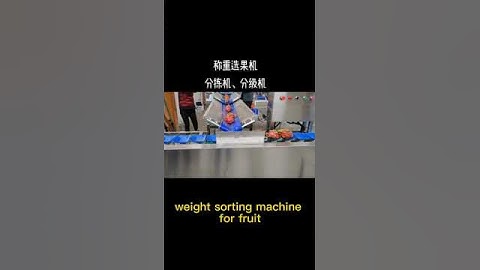 Weight Sorting Grading Machine for dragon fruit  #machine #fruit #food #equipment #machinery