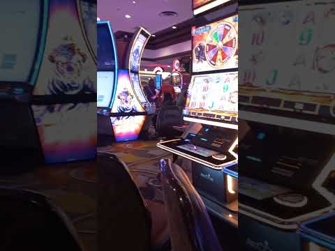 Caesar Vera at Casino Miami July 15,2023