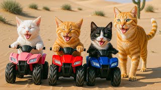 Download Lagu Mama Cat Fulfills Her Kitten's Dream – A Peaceful Quad Bike Ride with Kitten 🏍️✨ MP3 Download Lagu Mama Cat Fulfills Her Kitten's Dream – A Peaceful Quad Bike Ride with Kitten 🏍️✨ MP3