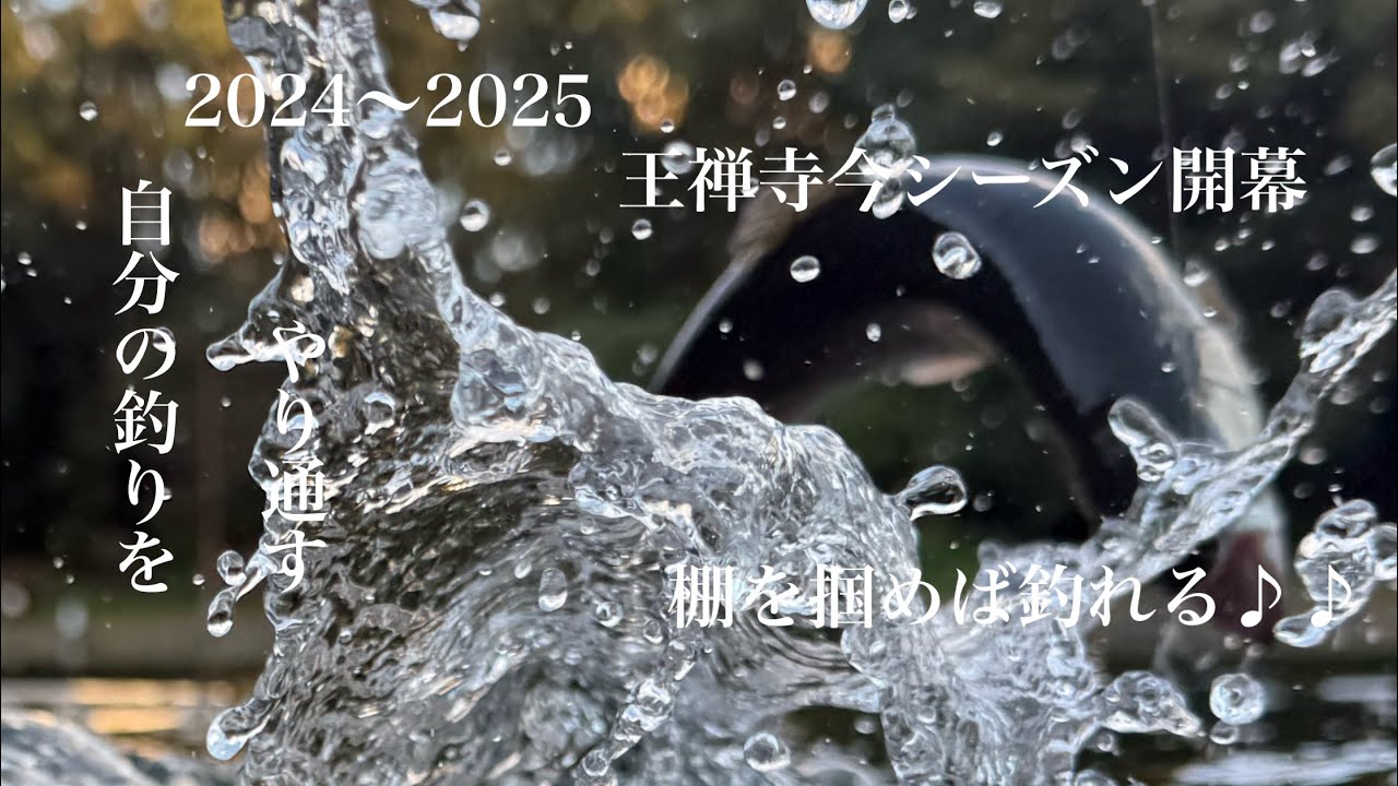 【王禅寺】今シーズン初のお寺?!で楽しんできました😊