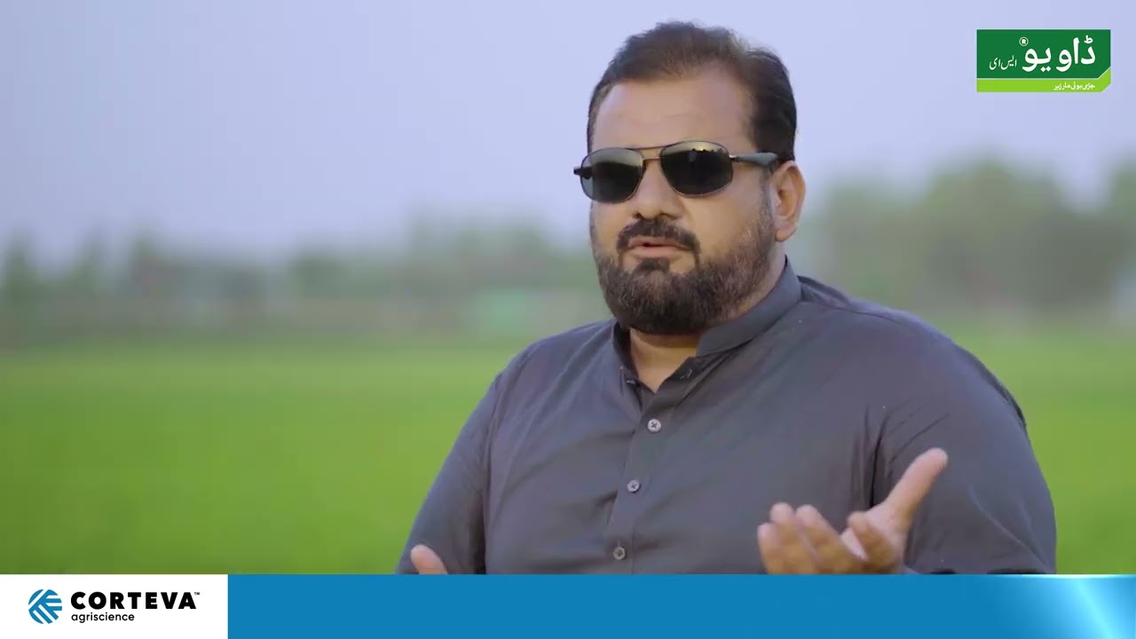 Daoyou I Moazzam Wahab I Arifwala I Customer Feedback