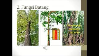 VIDEO PEMBELAJARAN IPA KELAS IV TEMA 3 SUBTEMA 1