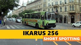 Ikarus Buses in Budapest 🇭🇺  IK 260, 280, 412 & 435🚌[2022] 