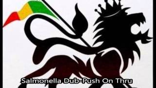Salmonella Dub - Push On Thru