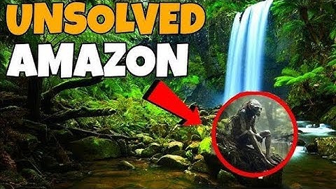 "Unveiling the Amazon