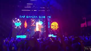 BESTE LEBEN BONEZ X RAF CAMORA #LIVE #PAP2TOUR