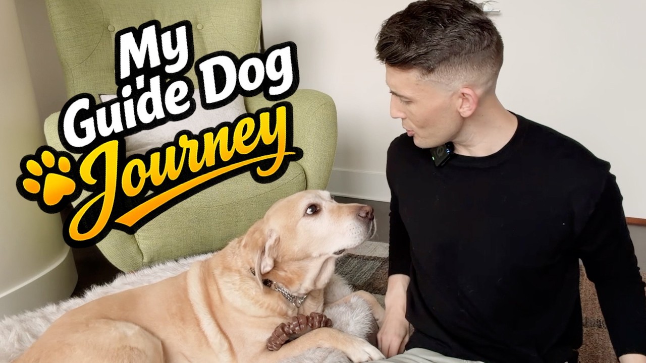 Are you thinking of getting a guide dog? - PAUL CASTLE STUDIO