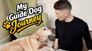 Are you thinking of getting a guide dog? - PAUL CASTLE STUDIO