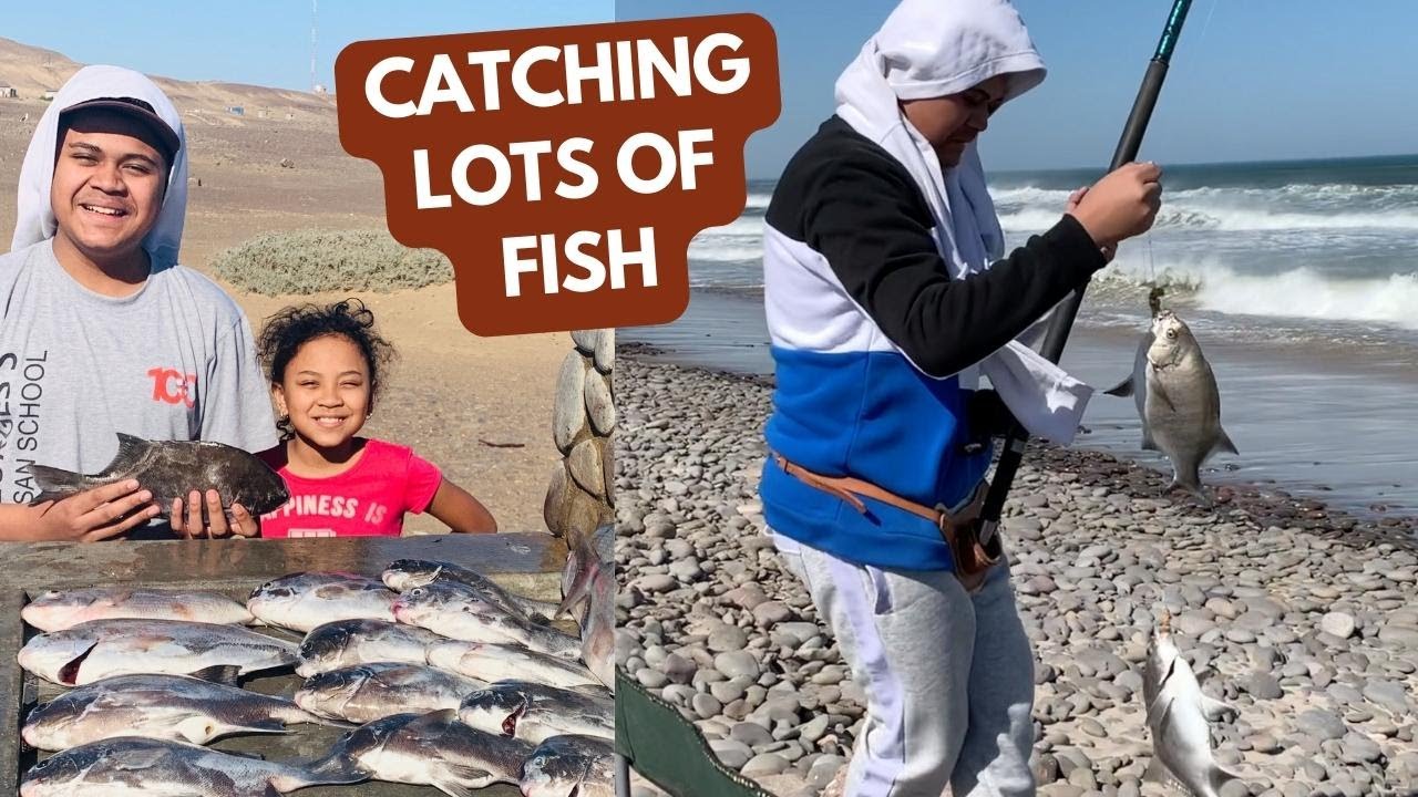 Namibia's Hidden Fishing Spot A Fisherman's Paradise Terrace Bay