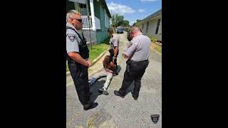 BCSO: Patrol Unit Arrest