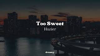 Hozier - Too Sweet (lyrics)