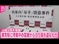 【「鉄道ファン｣16歳少年を逮捕】京葉線の電車内からつり革1個を盗んだ疑い
