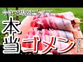 流行るメニューってちゃんと美味しいから流行るのねw【キャンプ飯】 ごん旅#116