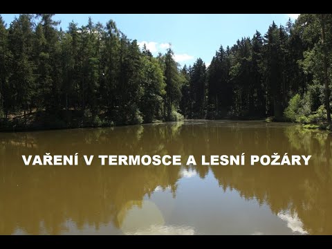 Video: Jak Zachránit Lesy Před Požáry