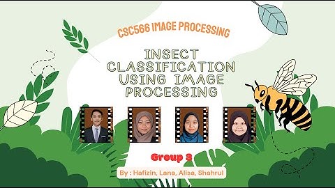 CSC566- GROUP PROJECT: Insect Classification with Image Processing
