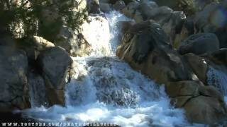 Grizzly River Run On-ride (HD POV) California Adventure