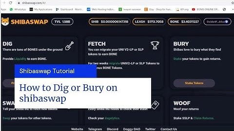 Shibaswap tutorials Dig and Bury