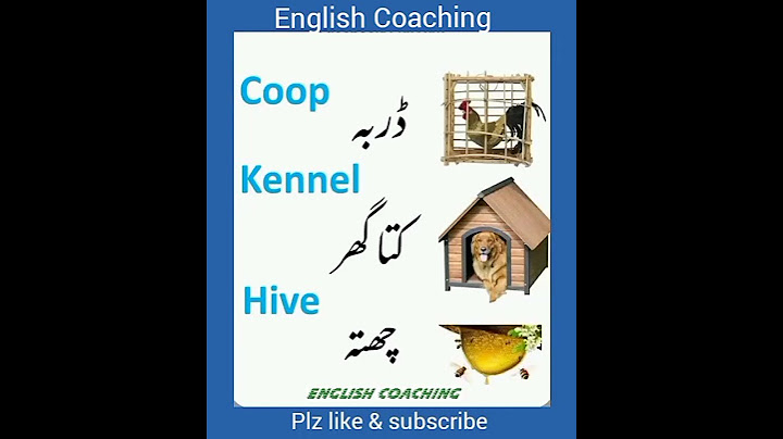 "Animal And Insect Homes Name in English with Urdu Translation"#shorts#vocabulary#english