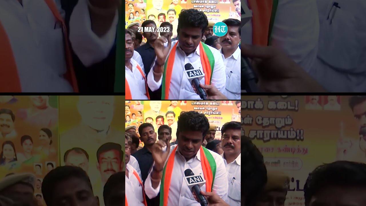 Im Not competing with BJP Tamil Nadu Leader Annamalai - S Ve Shekher