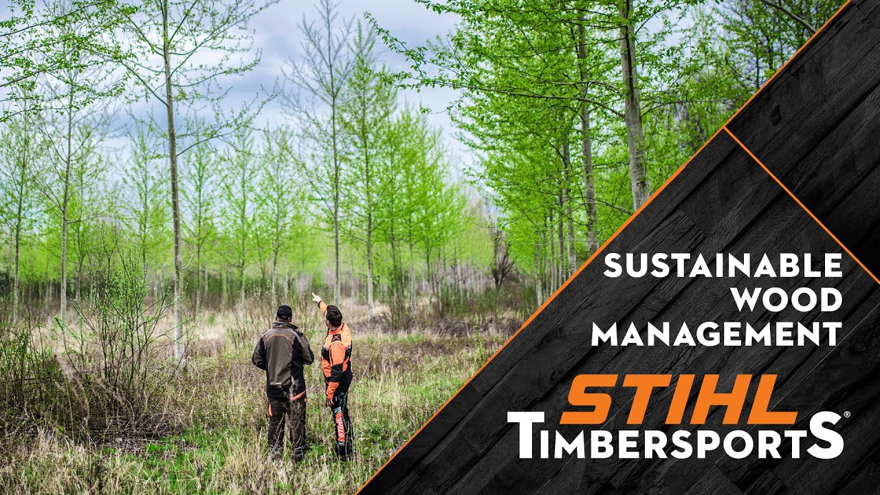 Eco-friendly extreme sports means sustainable wood management // STIHL TIMBERSPORTS® Eco-friendly extreme sports means sustainable wood management // STIHL TIMBERSPORTS®