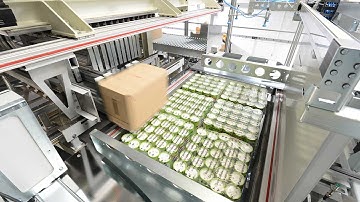 Dematic AMCAP (Automated Mixed Case Palletizing)