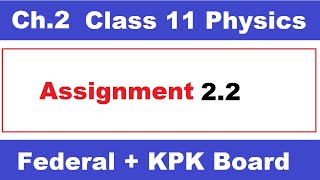 Assignment 2.2 || Class 11 Physics Chapter 2 || Ilmi Stars Academy