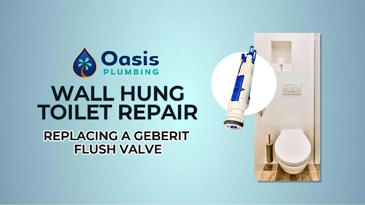 Miami Plumbers - Wall Hung Toilet Repair - Replacing a Geberit flush valve - Oasis Plumbing