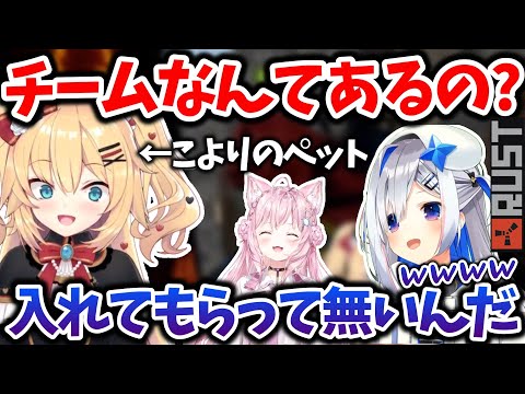 【RUST】悲しい現実を知り心に傷を負うはあちゃま【ホロライブ切り抜き】赤井はあと/天音かなた/博衣こより