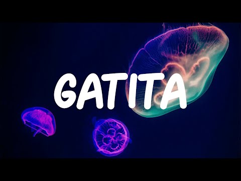 Bellakath - Gatita