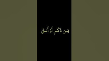 تلاوة مباركة من كتاب الله عز وجل(سورة غافر – الآية 40)"#قران_كريم #تلاوة #سورة_غافر