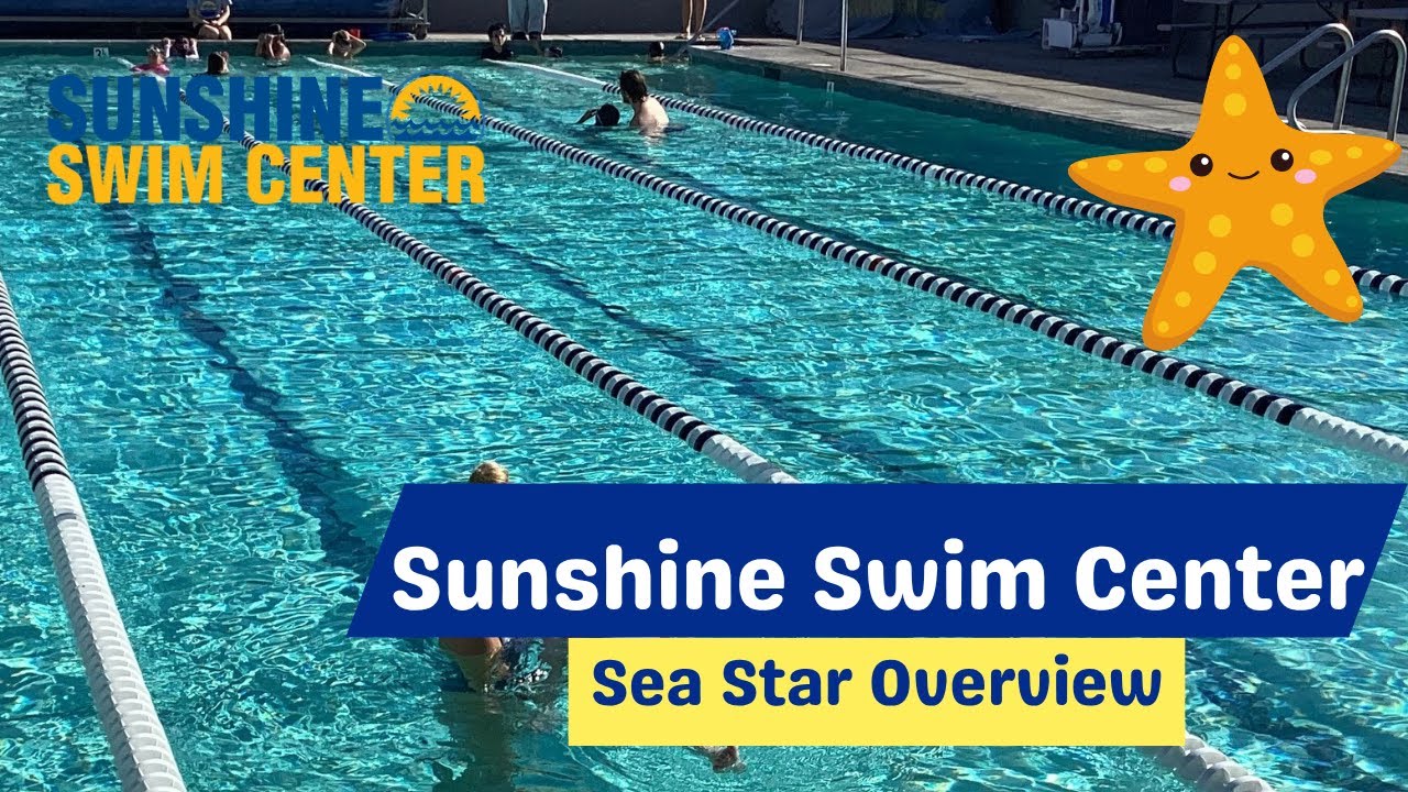 Level Up! Sea Star Skills Overview