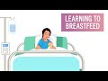 Learn how to breastfeed your new born  learning to breastfeed  narikaa