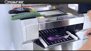 Automatic Vegetable/Fruit Stretch Film Wrapping Machine For Supermarket