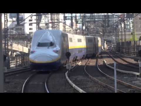 【3DFHD】JR東日本・E4系(P5+P22) Maxたにがわ403号 東京にて