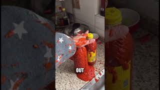 Download Lagu Dit gebeurde toen ik een blik tomaten verkeerd opende 😭 MP3