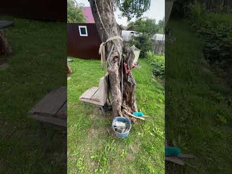 Невероятно! Как это