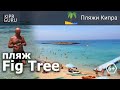 Пляжи Кипра: Fig Tree (пляж залива Фигового дерева, Протарас) - обзор и рекомендации /Кипр 2021/