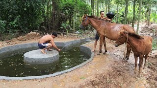 Build swimming pool for Horse