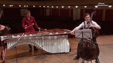 Tjeknavorian - Wagner - Sietzen, DeFalla Suite populaire espagnole, Nana, at the Wiener Konzerthaus