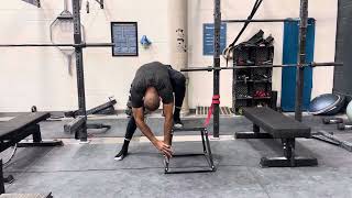 AES 6520 Module 3 Assignment: Lengthening of Adductor Magnus Wealth