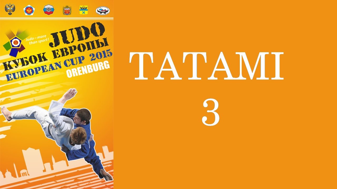драка в тенгизе 17.05.2015 Т3 Кубок Европы по дзюдо среди мужчин и женщин