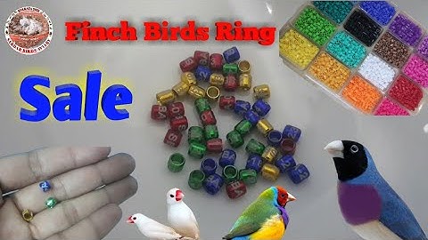 Finch & Java Birds Lage Ring Sale.