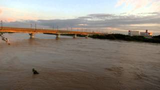 20110730　新潟豪雨　No.1