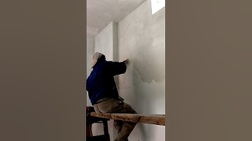 𝐃𝐨𝐮𝐛𝐥𝐞 𝐂𝐨𝐚𝐭 𝐖𝐚𝐥𝐥 𝐏𝐮𝐭𝐭𝐲🏡#𝐰𝐚𝐥𝐥𝐩𝐮𝐭𝐭𝐲 #𝐩𝐚𝐢𝐧𝐭𝐢𝐧𝐠#𝐭𝐫𝐞𝐧𝐝𝐢𝐧𝐠